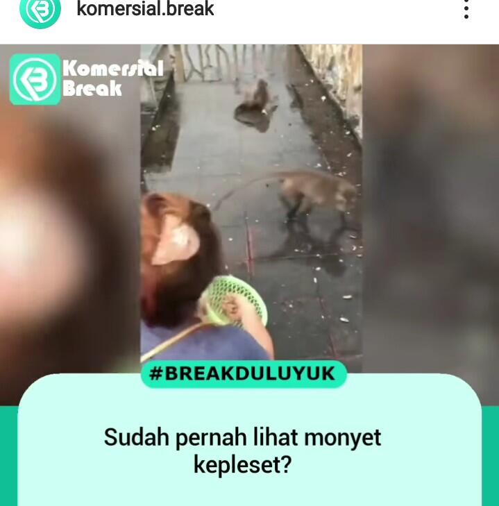Terlalu Takut Makanannya Diambil, Monyet Ini Terpeleset Saat Sedang Berlari!