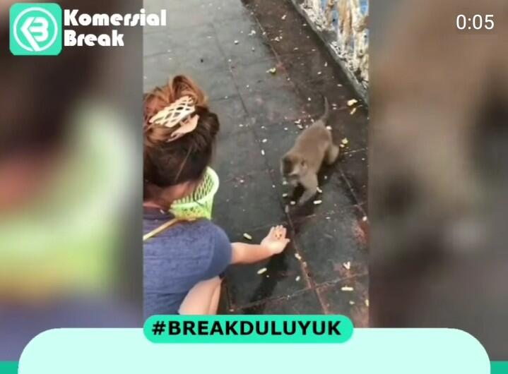 Terlalu Takut Makanannya Diambil, Monyet Ini Terpeleset Saat Sedang Berlari!