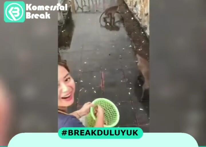 Terlalu Takut Makanannya Diambil, Monyet Ini Terpeleset Saat Sedang Berlari!