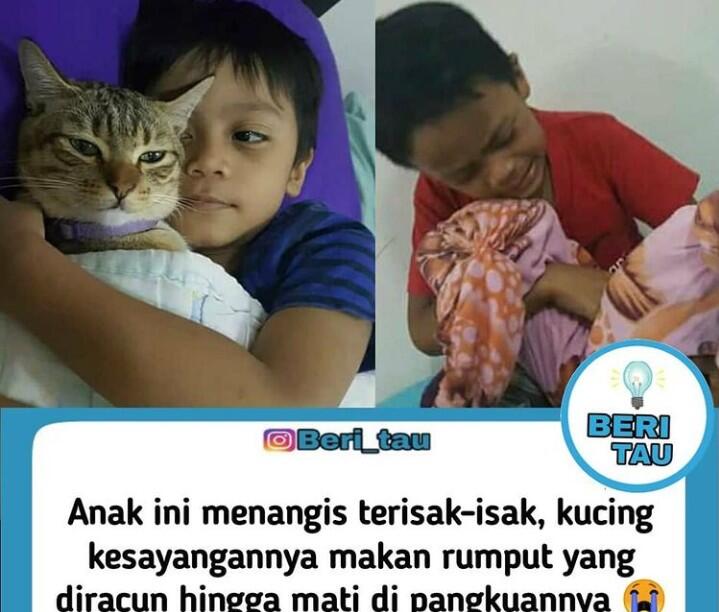 Sungguh Memilukan! Bocah Ini Menangis Sampai Tersengkuk Lantaran Kesayangannya Mati