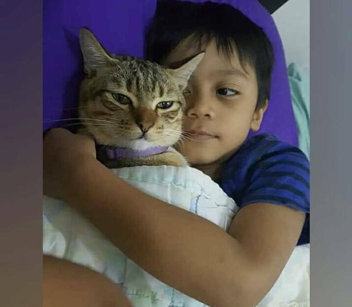 Sungguh Memilukan! Bocah Ini Menangis Sampai Tersengkuk Lantaran Kesayangannya Mati