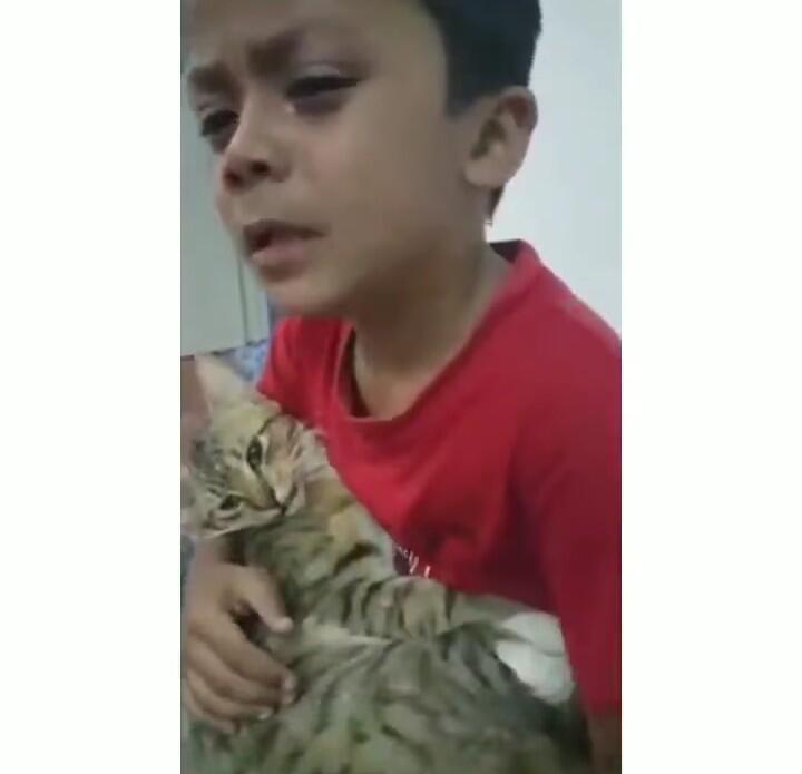 Sungguh Memilukan! Bocah Ini Menangis Sampai Tersengkuk Lantaran Kesayangannya Mati