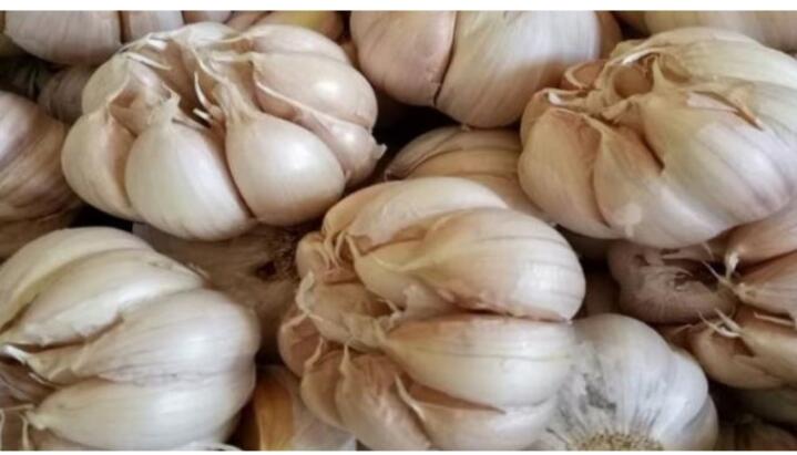 Jerawat Sembuh Dengan BAWANG PUTIH