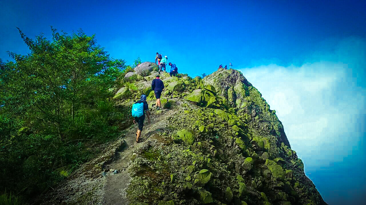 2020 singkat sekali heheh
