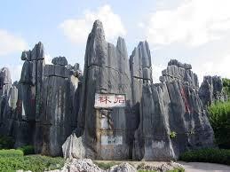 Mengenal Wisata Hutan Pohon Batu Terbesar di Cina