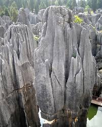 Mengenal Wisata Hutan Pohon Batu Terbesar di Cina