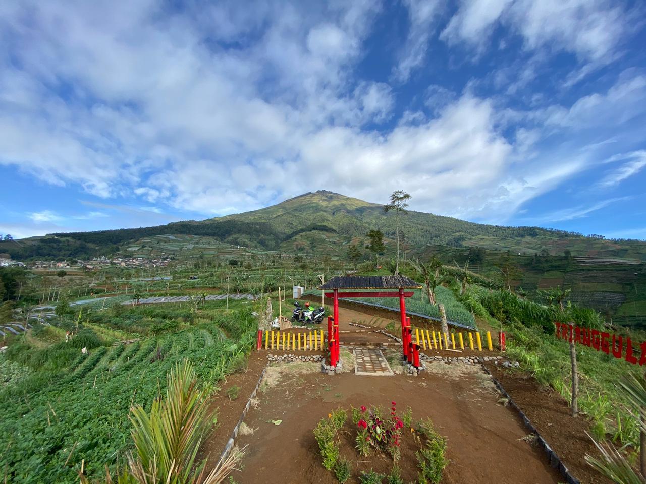 Trianggulasi Small Garden , Taman Wisata Baru di Kaliangkrik, Magelang