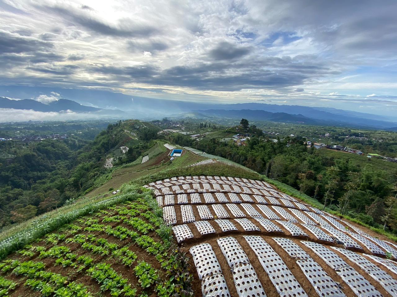 Trianggulasi Small Garden , Taman Wisata Baru di Kaliangkrik, Magelang