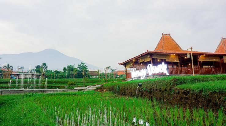Ingin Liburan Ke Purwokerto, Berikut Beberapa Tempat Kuliner Yang Wajib Anda Kunjungi