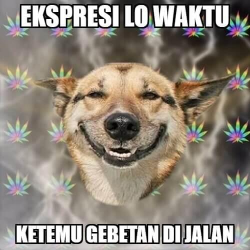 Kumpulan Meme Lucu dan Menarik Untuk Dilihat v1.0.0
