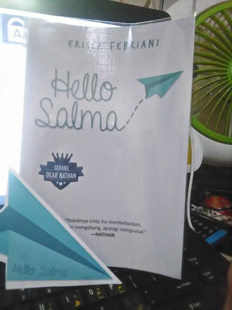 Review Buku Hello Salma Karya Erisca Febriani