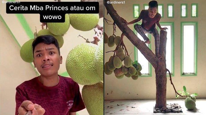 Ada Pohon Nangka di Dalam Rumah Ardiansyah dan Rutin Berbuah, Kok Bisa?