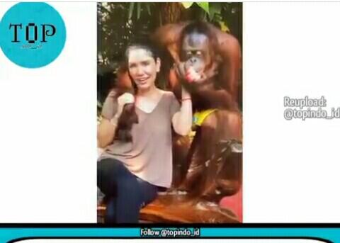 Kelakuan Hewan Yang Satu Ini Membuat Melongo! Netizen: Siapa Yang Ngajari Dia Woy?