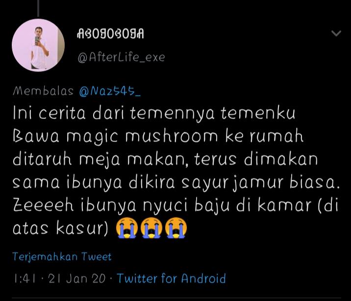 Seputar Magic Mushroom Dan Cerita Konyol Penggunanya