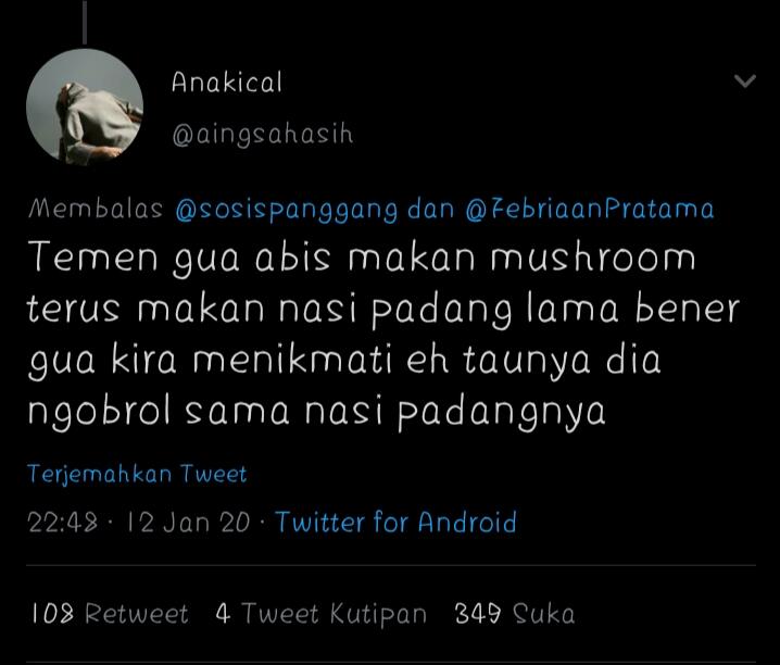 Seputar Magic Mushroom Dan Cerita Konyol Penggunanya