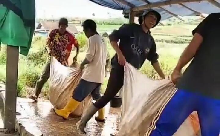 Terungkap, Ternyata Seperti Ini Cara Unik Petani Mencuci Wortel Dalam Jumlah Banyak! 