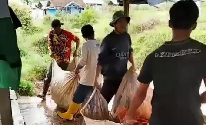 Terungkap, Ternyata Seperti Ini Cara Unik Petani Mencuci Wortel Dalam Jumlah Banyak! 