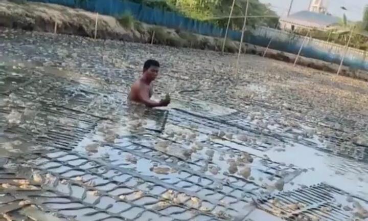 Bikin Geli, Viral Seorang Pria Berendam di Kolam Bersama Jutaan Kodok! Gak Takut Ya?