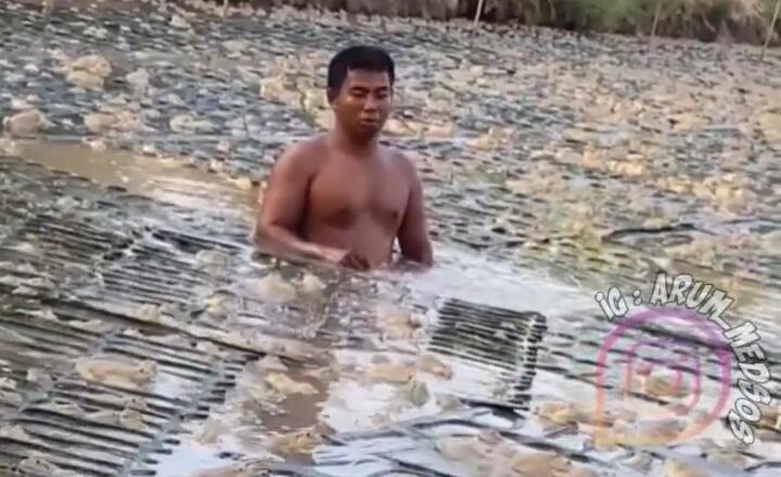 Bikin Geli, Viral Seorang Pria Berendam di Kolam Bersama Jutaan Kodok! Gak Takut Ya?