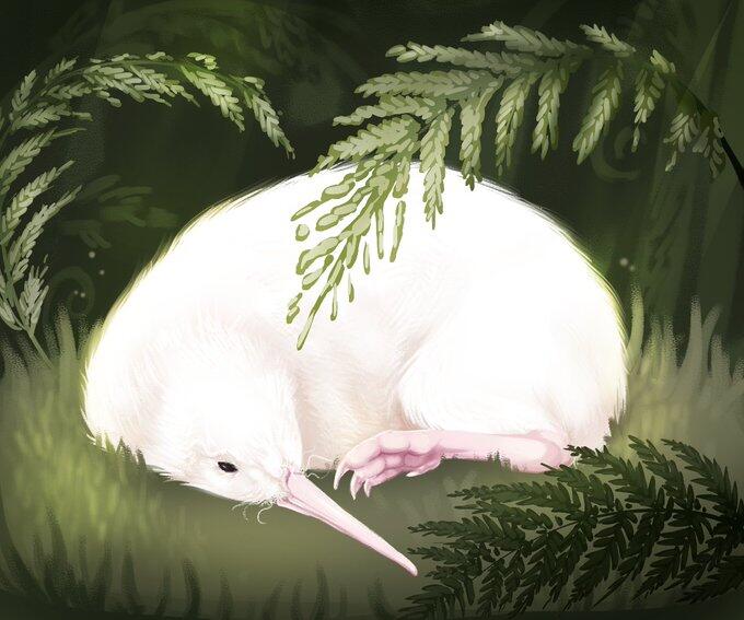 Manukura, Kiwi Putih Langka yang Menginspirasi Buku Anak-anak Akhirnya Mati