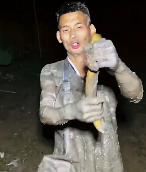Ternyata Begini Cara Mudah Menangkap Belut, Cukup Dicolok Saja!