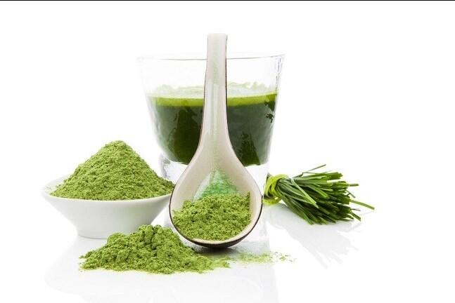 Manfaat Wheatgrass yang Jarang-jarang Ditemui