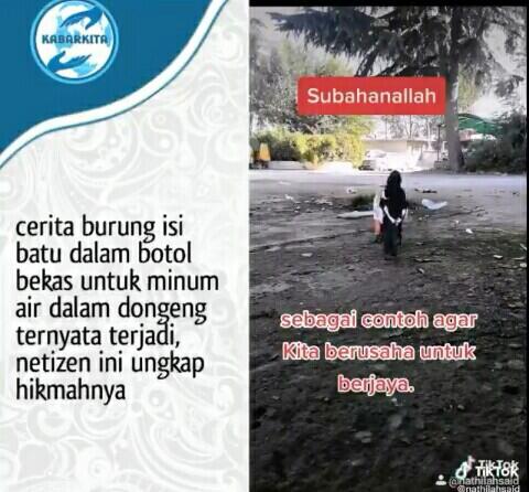 Bukan Hanya Dongeng, Kisah Seekor Burung Yang Memasuki Batu Ke Botol Sungguh Terjadi!