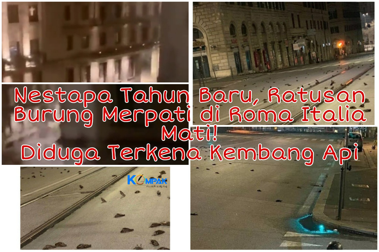 Duka Tahun Baru, Ratusan Burung di Roma Italia Mati Secara Tiba-tiba! Apa Sebabnya?