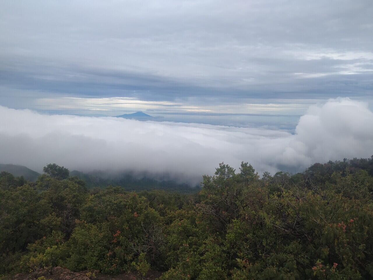 GOKILNYA JALUR BARU GUNUNG SLAMET ! CATPER SLAMET VIA SAWANGAN 29-30 DESEMBER 2020