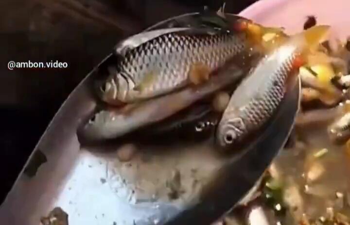 Menjijikan, Viral Seorang Pria Makan Ikan Mentah Bercampur Kecoa Hidup! Kok Doyan Ya?