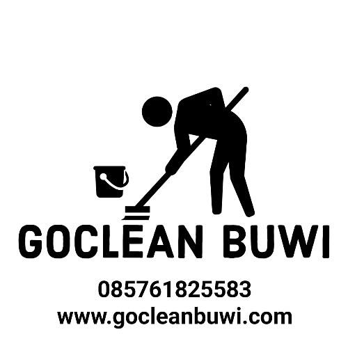 Goclean установить