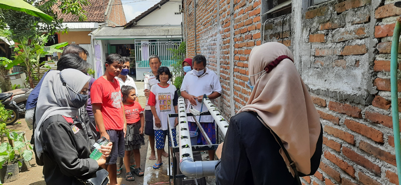 INGIN MENINGKATKAN WAWASAN DAN PELUANG USAHA, PMM 33 UMM BERI EDUKASI HIDROPONIK