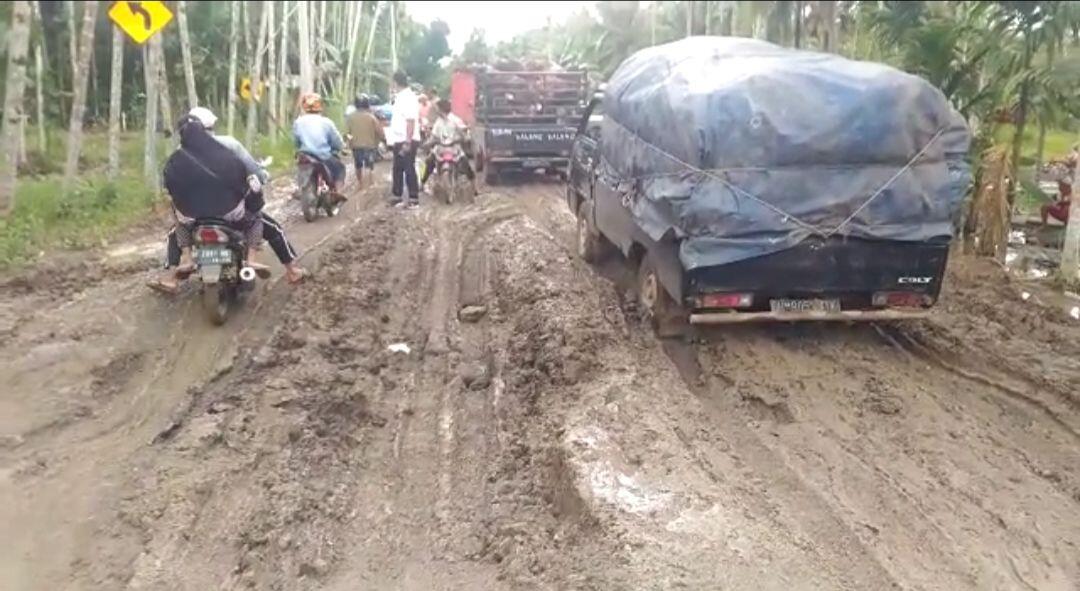 Perempuan Meninggal Dunia Saat Macet Menuju RS di Jalanan Rusak, Jambi