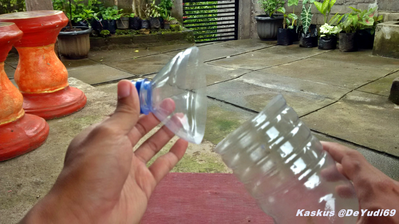 Kreasikan Tanaman Keladi Hiasmu dengan Pot dari Bola Lampu Bekas Gan!