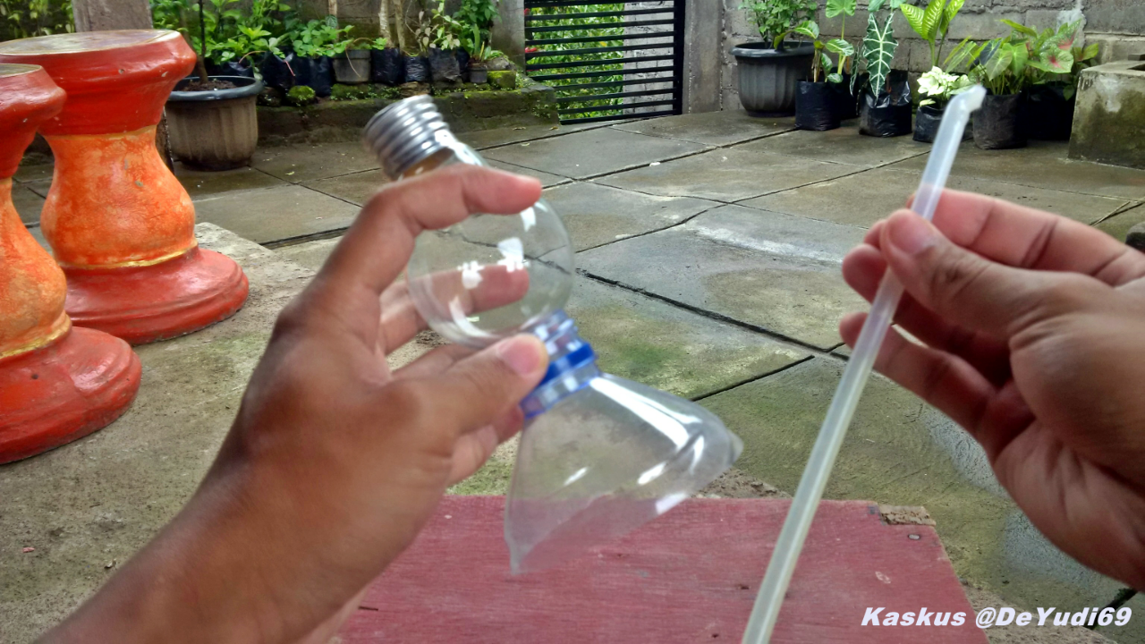 Kreasikan Tanaman Keladi Hiasmu dengan Pot dari Bola Lampu Bekas Gan!