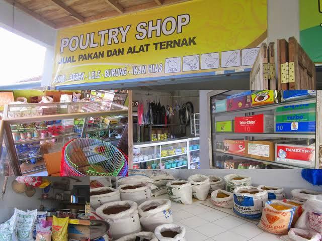 Bisnis Makanan Burung Kicau,Unggas ,Ikan (Poultry Shop), Solusi Kaya Di Masa Pandemi