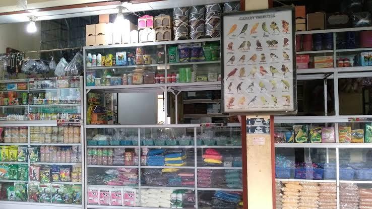 Bisnis Makanan Burung Kicau,Unggas ,Ikan (Poultry Shop), Solusi Kaya Di Masa Pandemi
