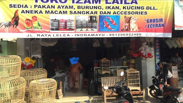Bisnis Makanan Burung Kicau,Unggas ,Ikan (Poultry Shop), Solusi Kaya Di Masa Pandemi