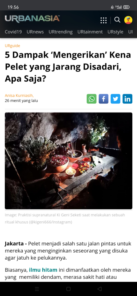 WAJIB BACA,DAMPAK PELET YANG JARANG ORANG KETAHUI