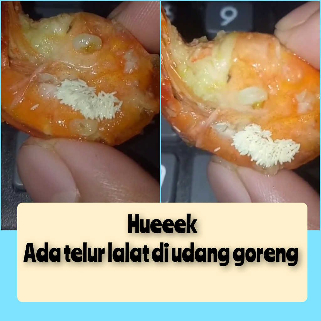 Lagi Enak-Enak Makan, Muncul Benda Asing Menggeliat Pada Makanan Ini