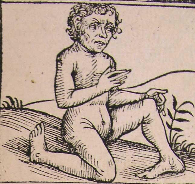 Abarimon, Makhluk Humanoid Dengan Telapak Kaki Terbalik!