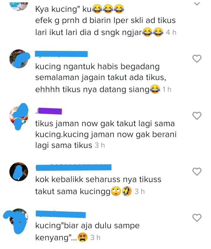 Harga Diri Kucing Ini Hancur Lebur Di Depan Tikus, Sedih Melihatnya Tapi Lucu