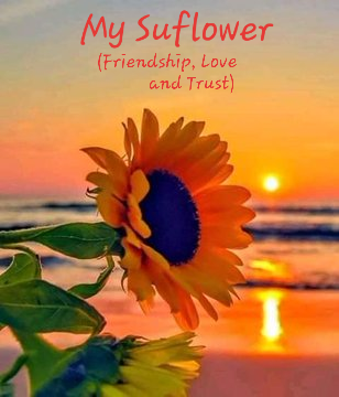 Sunflower...My virtual besty (Friendship, Love and Trust)