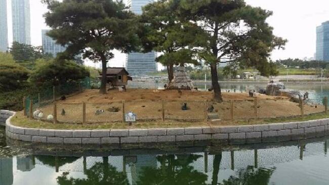 'Pulau Kelinci' di Songdo, Korea Selatan yang Kini Jadi Neraka Bagi Para Kelinci