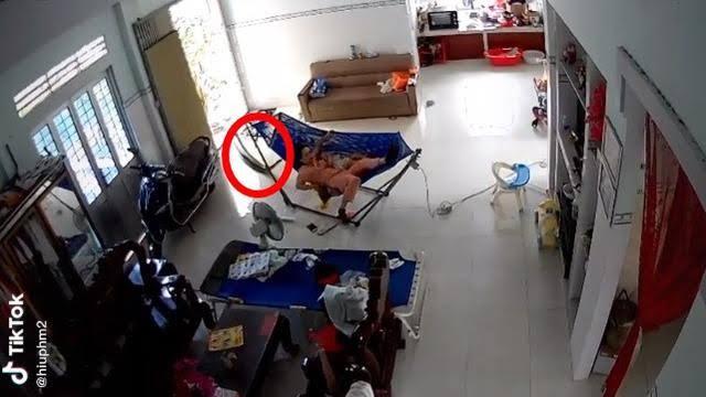 Ngeri!! Ada Ular Masuk Rumah Saat Lagi Gendong Bayi, Auto Panik
