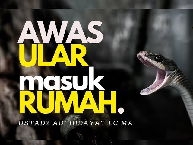 Ngeri!! Ada Ular Masuk Rumah Saat Lagi Gendong Bayi, Auto Panik