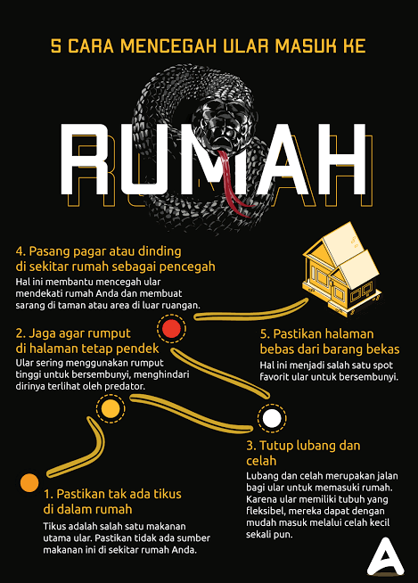 Ngeri!! Ada Ular Masuk Rumah Saat Lagi Gendong Bayi, Auto Panik