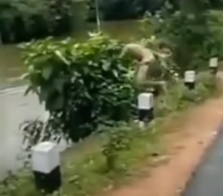 Sekelompok Pemuda Asyik Mau Terjun ke Sungai, Pelompat Kedua Bikin Ngakak GanSis!