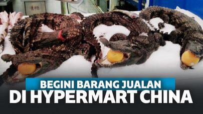 Supermarket Indonesia Jualan Ikan Cupang!! China Jualan Buaya, Ikan Hiu, Kodok, Kura2