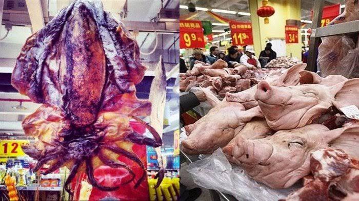 Supermarket Indonesia Jualan Ikan Cupang!! China Jualan Buaya, Ikan Hiu, Kodok, Kura2